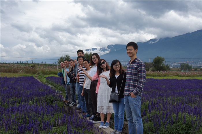 2014��Ա���緶0