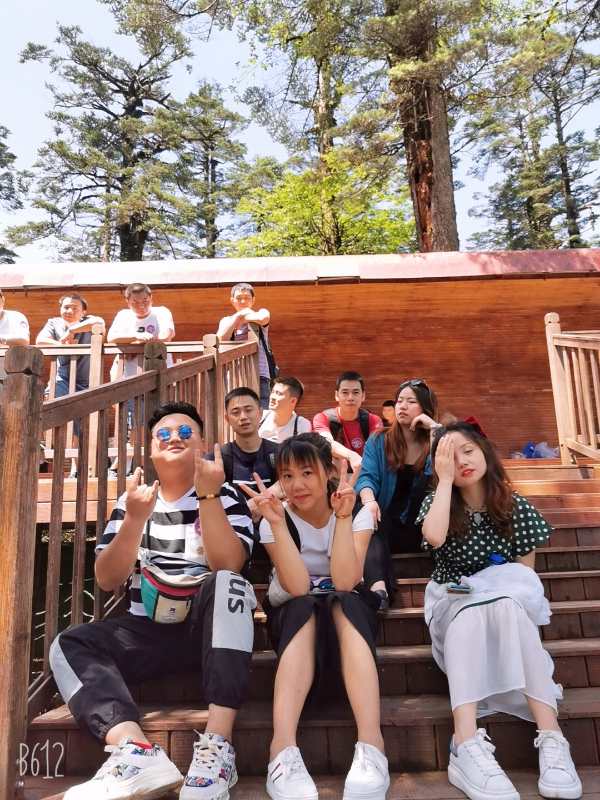 2020��Ա���緶